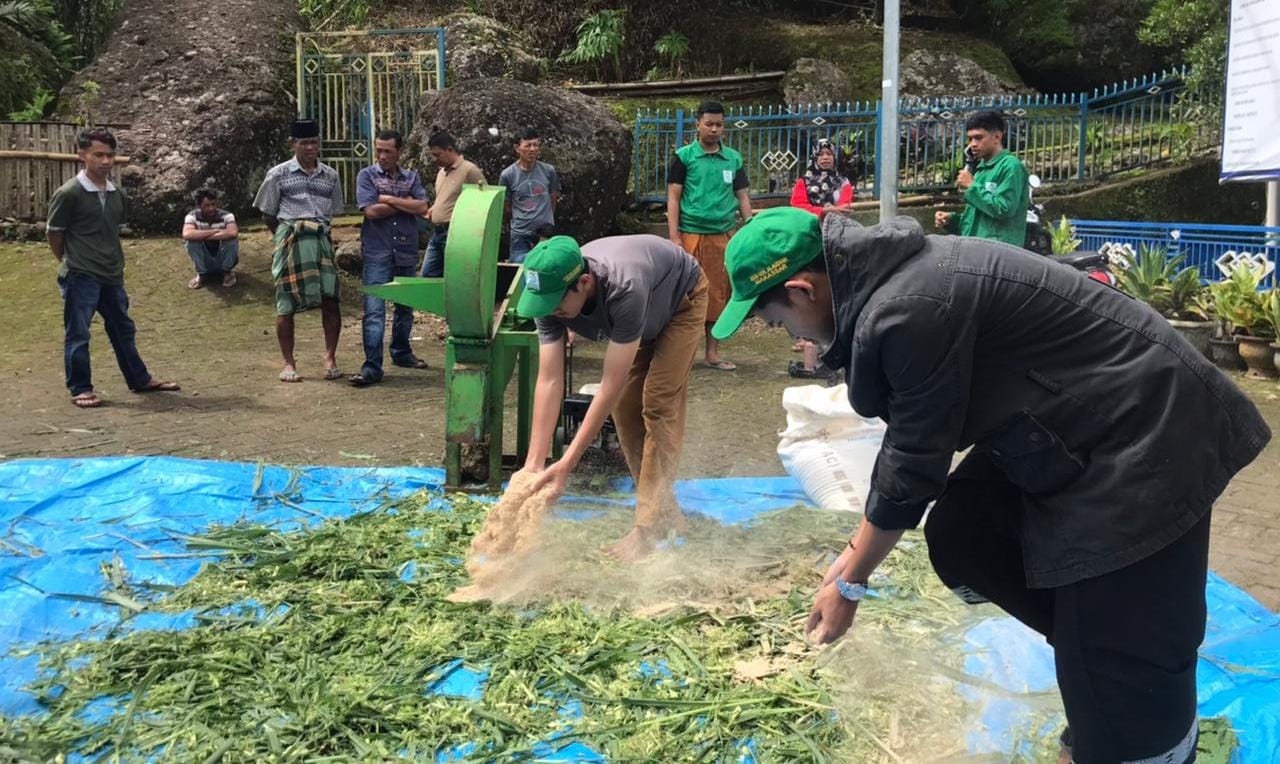 Mahasiswa KKN Angkatan 76 Desa Patanyaman, Latih Warga Buat Pakan Ternak Alternatif